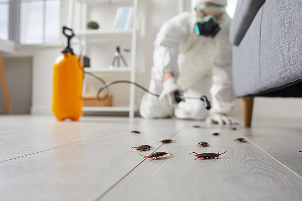 Commercial Kitchen Cockroach Control in Lincroft